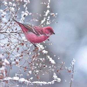 Meet your Posher, Sue